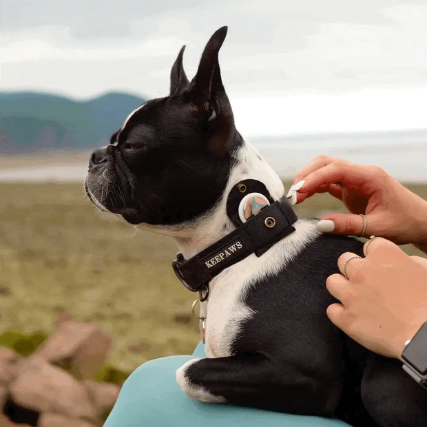 ™ Tactical Airtag Collar