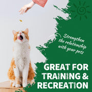 13.4 0Z Cat Grass Treats Salmon Oil Natural Salmon Flavor Kitten Healthy Cat Treats Training Biscuits Snacks Fish Oil Omega 3 Supplements for Cats