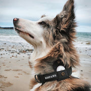 ™ Tactical Airtag Collar