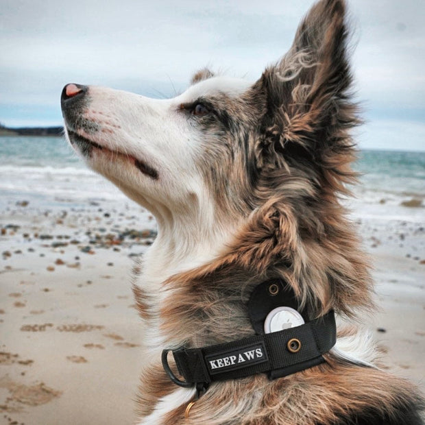 ™ Tactical Airtag Collar