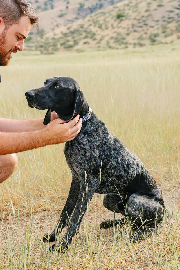 Pawtronic Pro Series - Wireless GPS Dog Fence