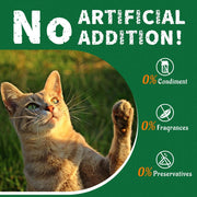 13.4 0Z Cat Grass Treats Salmon Oil Natural Salmon Flavor Kitten Healthy Cat Treats Training Biscuits Snacks Fish Oil Omega 3 Supplements for Cats