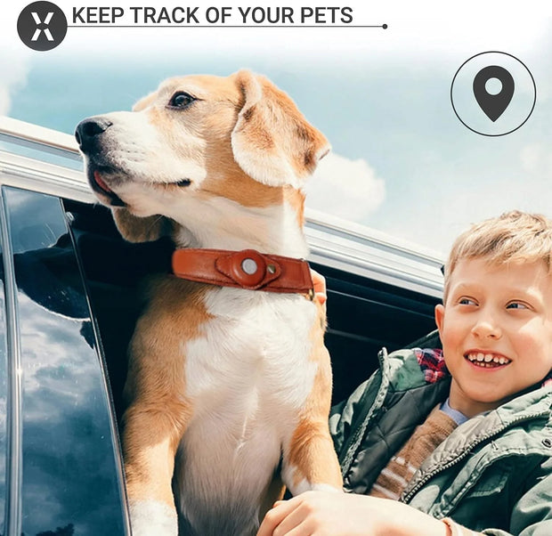 Leather Airtag Collar